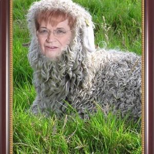 Meet your Posher, Riley